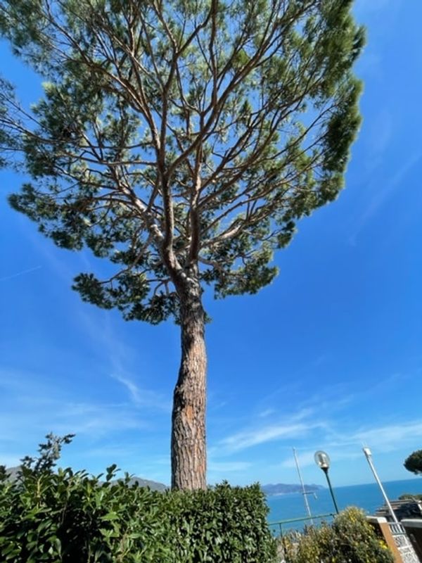 La maison de roberto