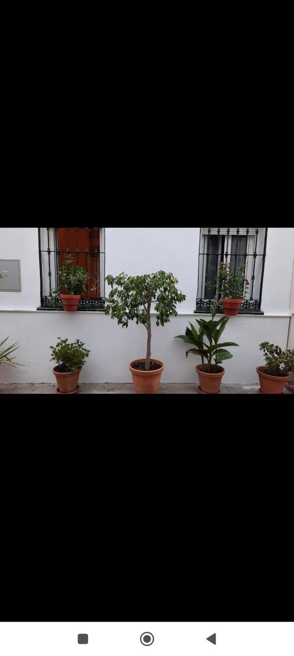 teresas hus