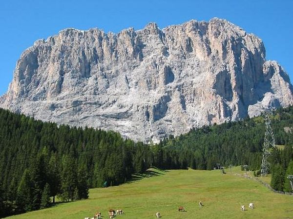 La maison de Veronica
