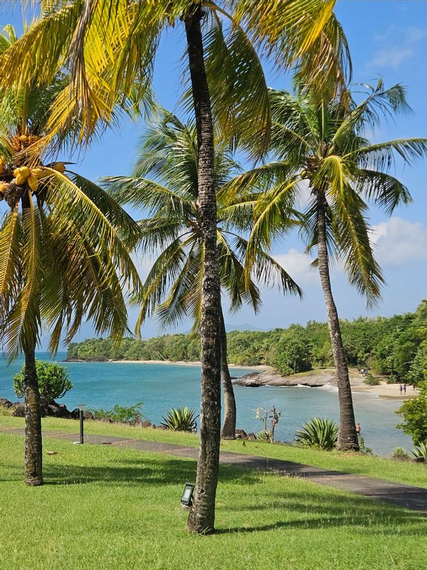 TI OASIS T2 bord de mer et piscine