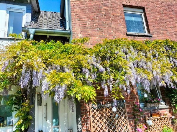 La maison de Patrick