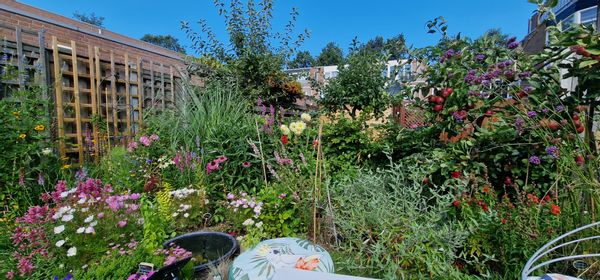 Tanja and Patricks hus