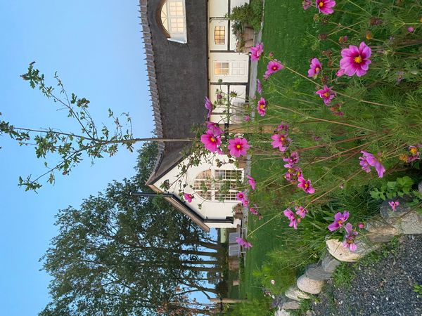 Annemarie Aundals hus