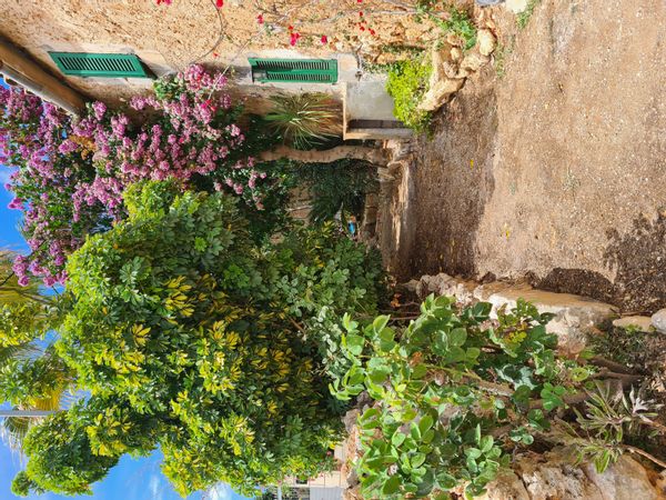 Casa di Alexandre LLaneras