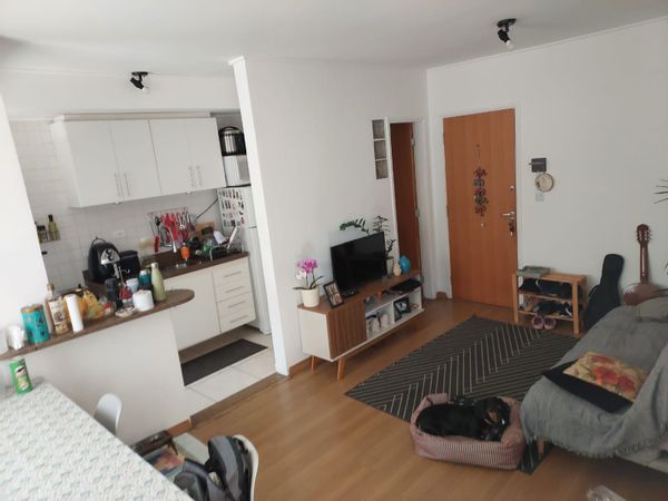 Lucas Nunes Pellegrinos hus