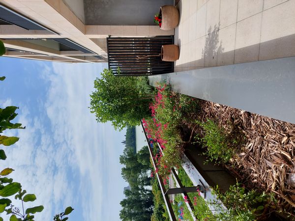 Appartement 3 chambres au cœur de Bordeaux