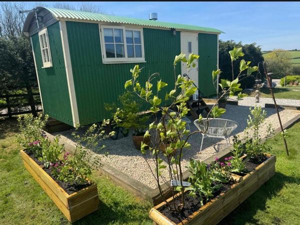 Tom’s Hut beautiful Shepherds Hut in rolling Cornish countryside