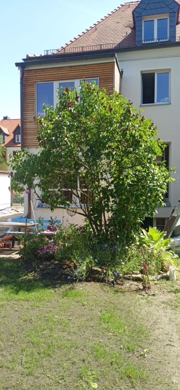 Miras hus
