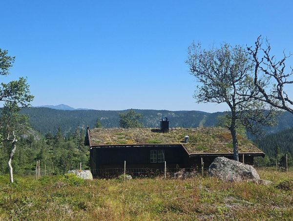 Authentic mountain gem on idyllic summer pasture