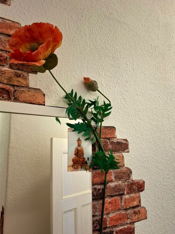 Mitten in Berlin - Liebenswert und weltoffen