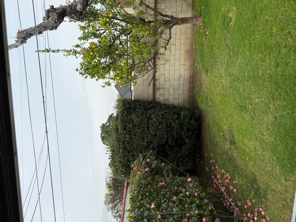 3bed 2 bath House With Sunny Backyard