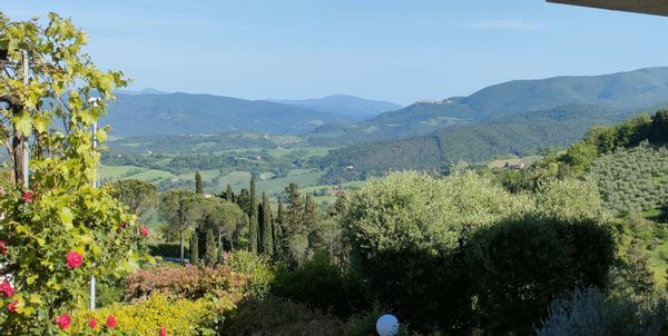 Appartamento con giardino in Toscana  a 15 Km dal mare. Spiaggia, campagna e turismo culturale