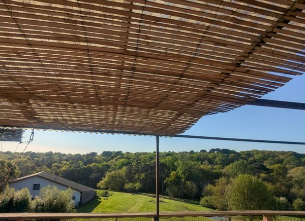 Notre havre de paix au coeur de la forêt