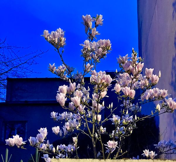 Marie-Christines hus