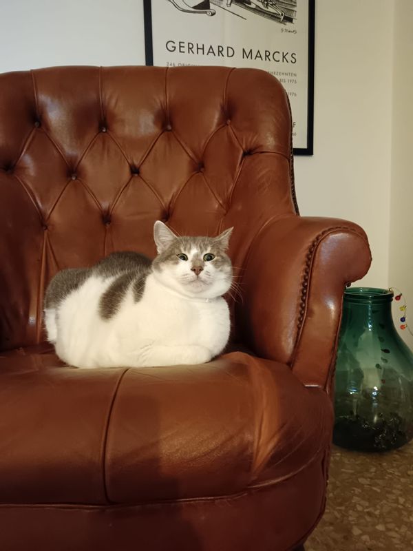 Silvia e Gianluca's house