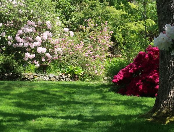 Unique home in a quiet Victoria, BC Canada neighborhood with views of bay and mountains