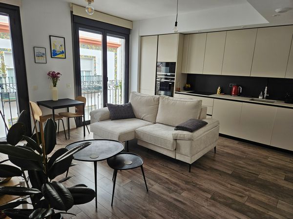 Practical and comfortable 2 bedroom apartment in beautiful Sevilla