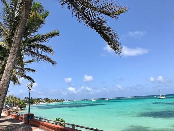 L appart de Lilly. Petit mais cosy 1piece à vivre, lit 2 pl Et un clic clac pour un enfant.