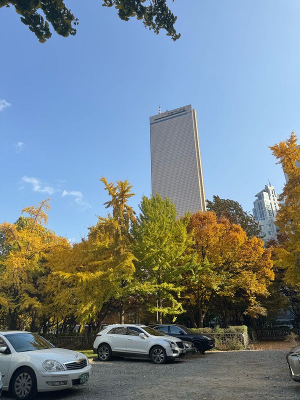 Yeouido; Heart of seoul, close to everything : Mr. & Mrs. Oh home