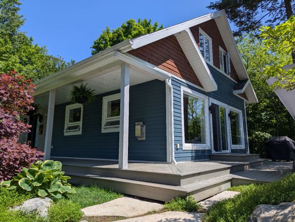 L'azur sous les sapins
