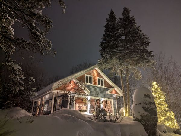 L'azur sous les sapins