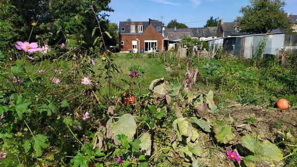 Casa de Katia Thomas Tishka