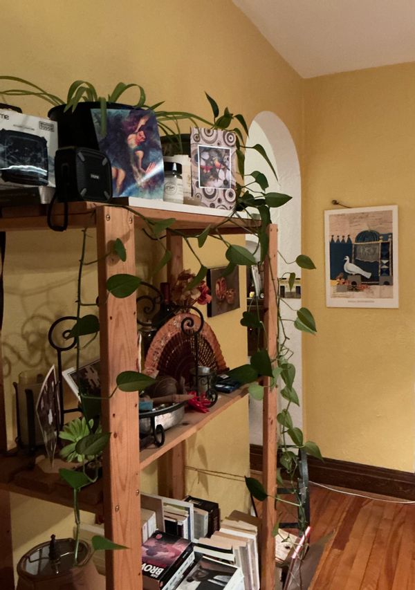 Appartement situé dans le plus beau quartier de Sherbrooke.