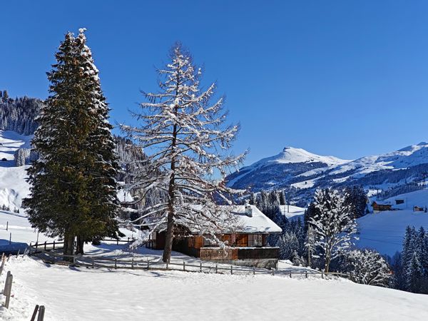 Helene, Lisa et Cedric's house