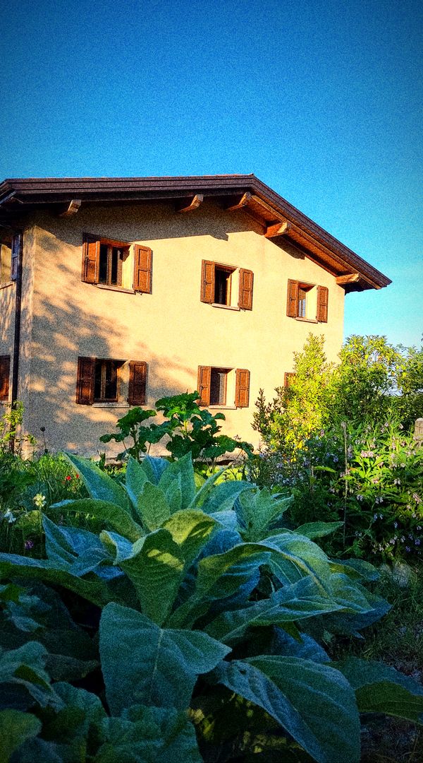 Casa di Paglia di Canossa, sulle colline a due passi dalla città di Reggio Emilia