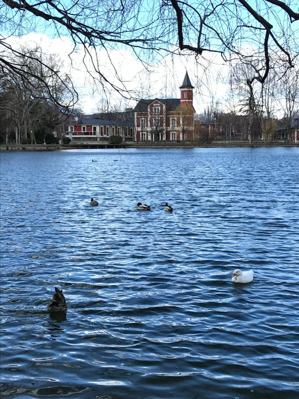 Our home in Puigcerdà