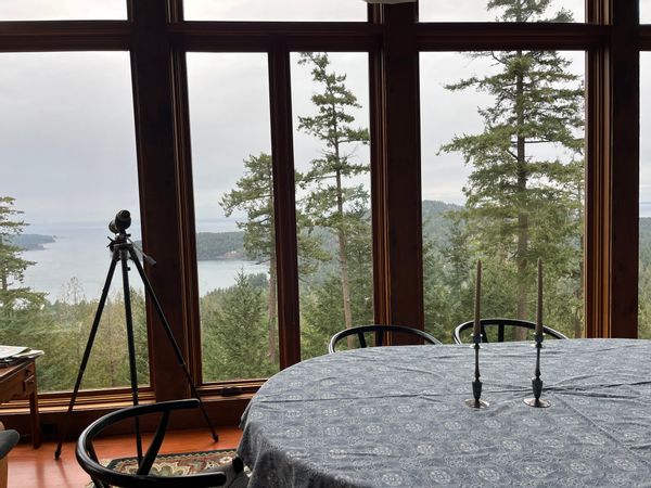 Family Friendly 3 Bedroom Island View Home Close to Beaches and Trails