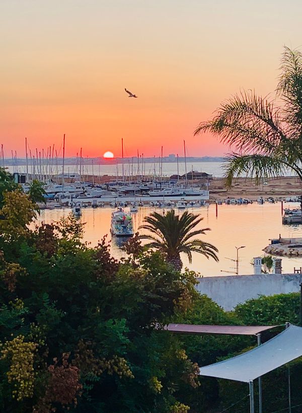 Maria&Christophe's house