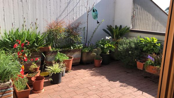 Antonella Malagutiina kuća