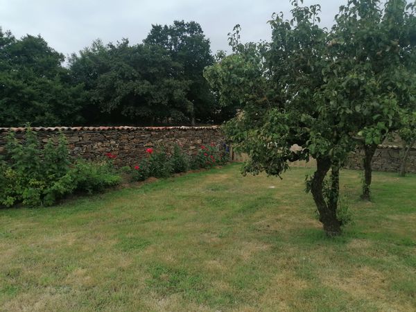 Aline et Cédric's house