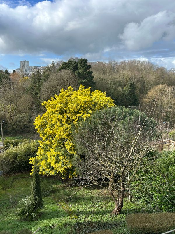La maison des Le Moine