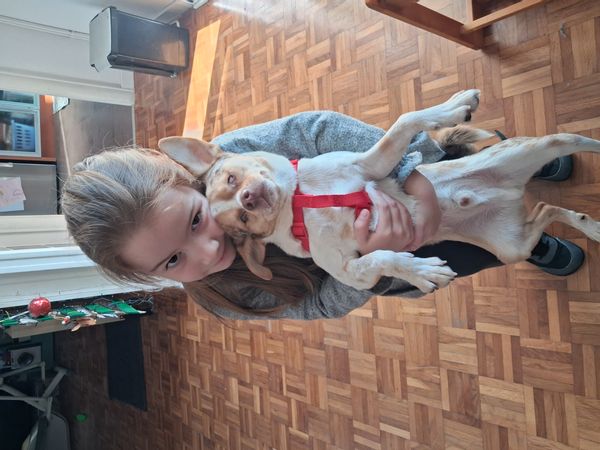 Es un apartamento amplio y luminoso que puede alojar a 7 personas cerca del metro y de Barcelona