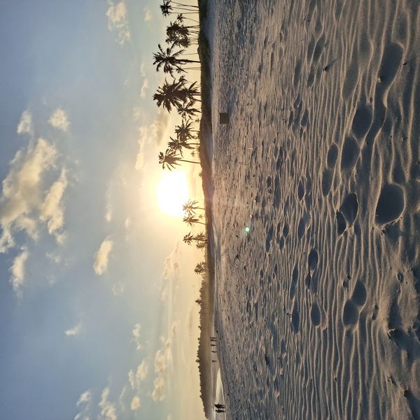 Priscila Silva Valeras hus