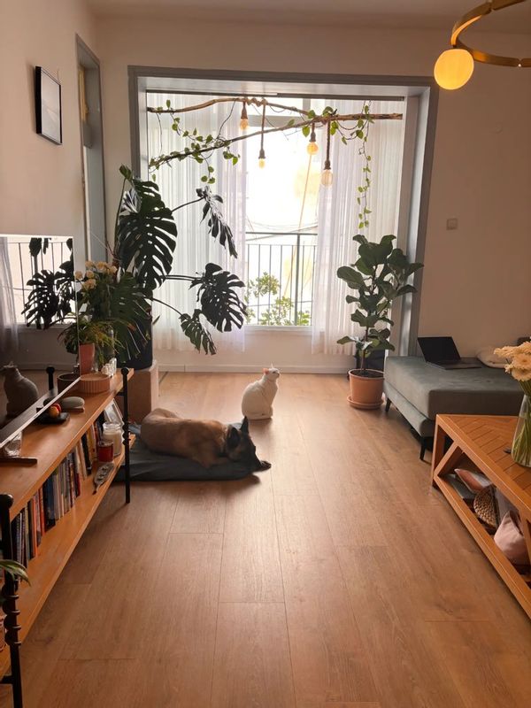 Casa de Matan & Vika