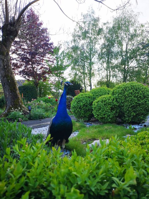La maison de Valérie et Laurent, un havre de paix proche d'Orléans, avec piscine, jaccuzi