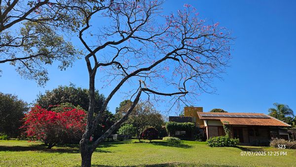 La maison de Haydée