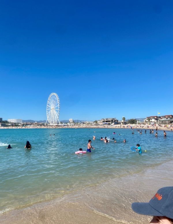 Appartement 2 chambres à proximité immédiate des plages de Marseille , quartier calme