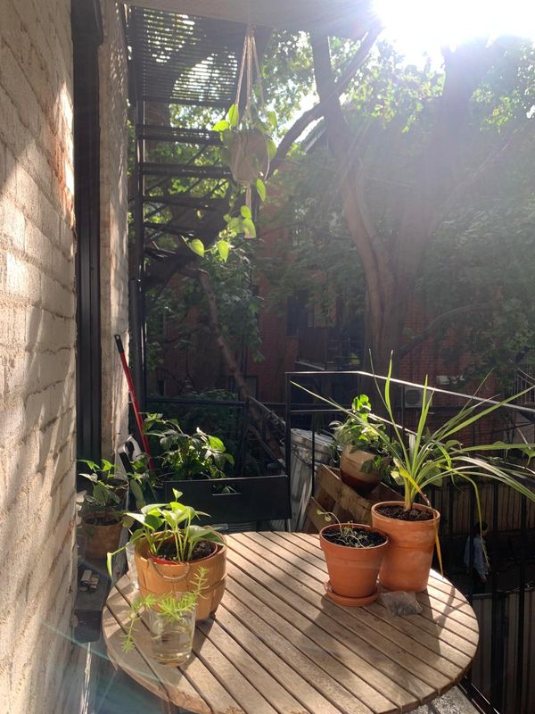 Lucie & Antoine's house