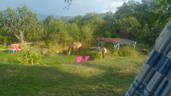 La chambre privée de Sandrine en pleine campagne.