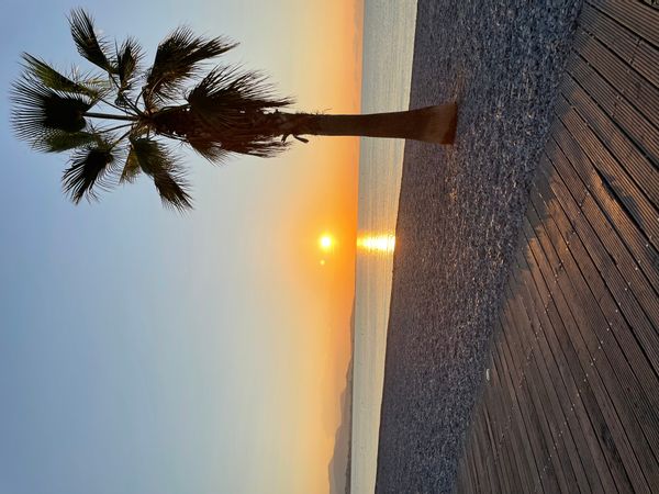 Appartement situé à seulement 300 m de la mer au cœur d’une résidence neuve, moderne et sécurisée