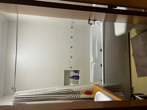 Laura's house. A large sunny apartment within walking distance of all amenities.