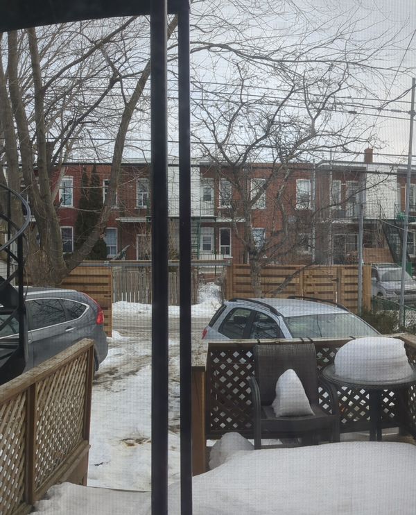 Grand appartement au coeur de la nature de Montréal