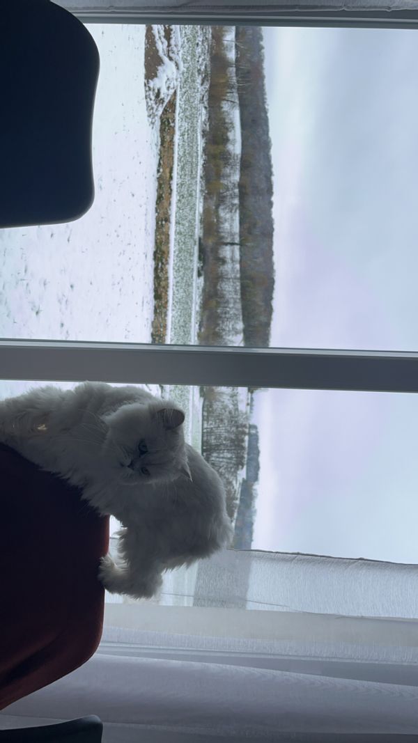 Maison avec vue imprenable en pleine campagne et à proximité de tout