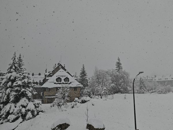 miguels hus