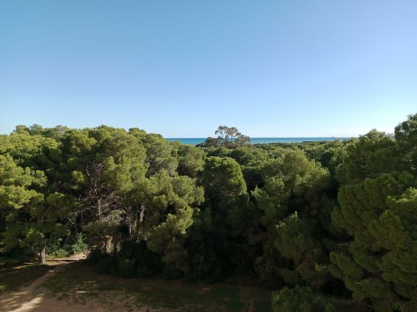 La casa de la Devesa del Saler