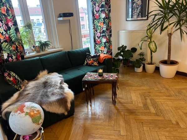 A Large Writer's Apartment  in the Heart of Prenzlauer Berg (full peace OR children friendly)